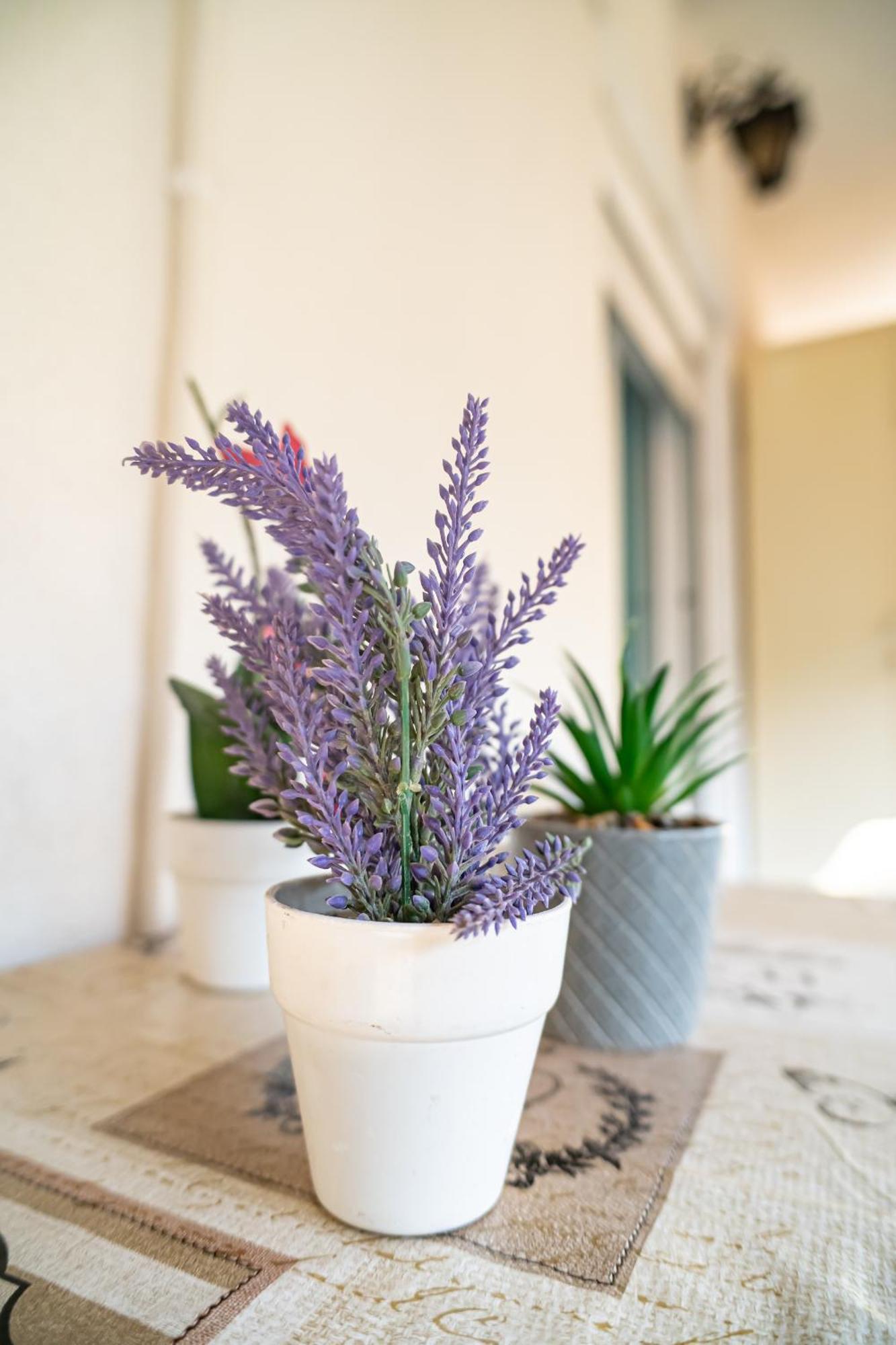 Feel Greek Hospitality #Θ006 Lägenhet Thessaloníki Exteriör bild